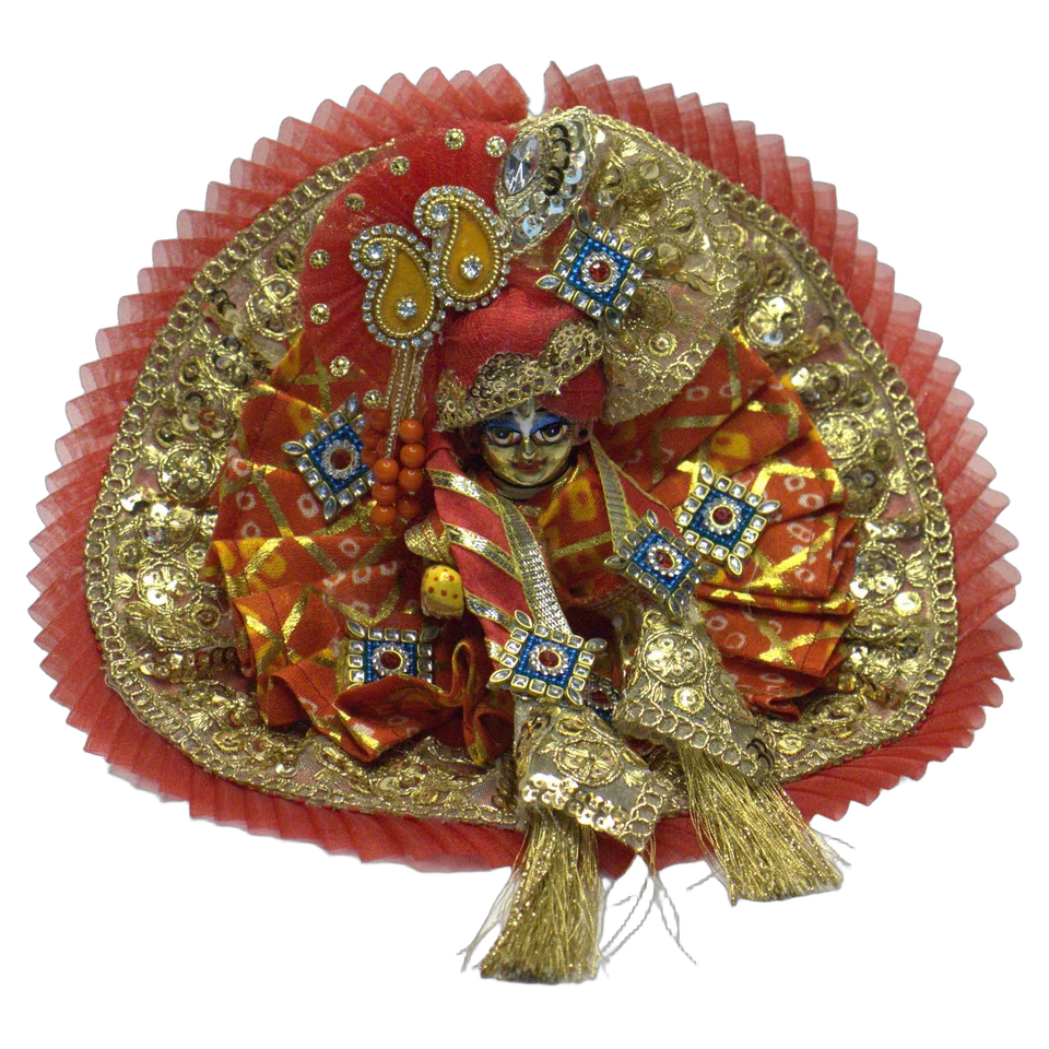 Red Net Golden Zari - Main