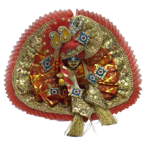 Red Net Golden Zari - Main